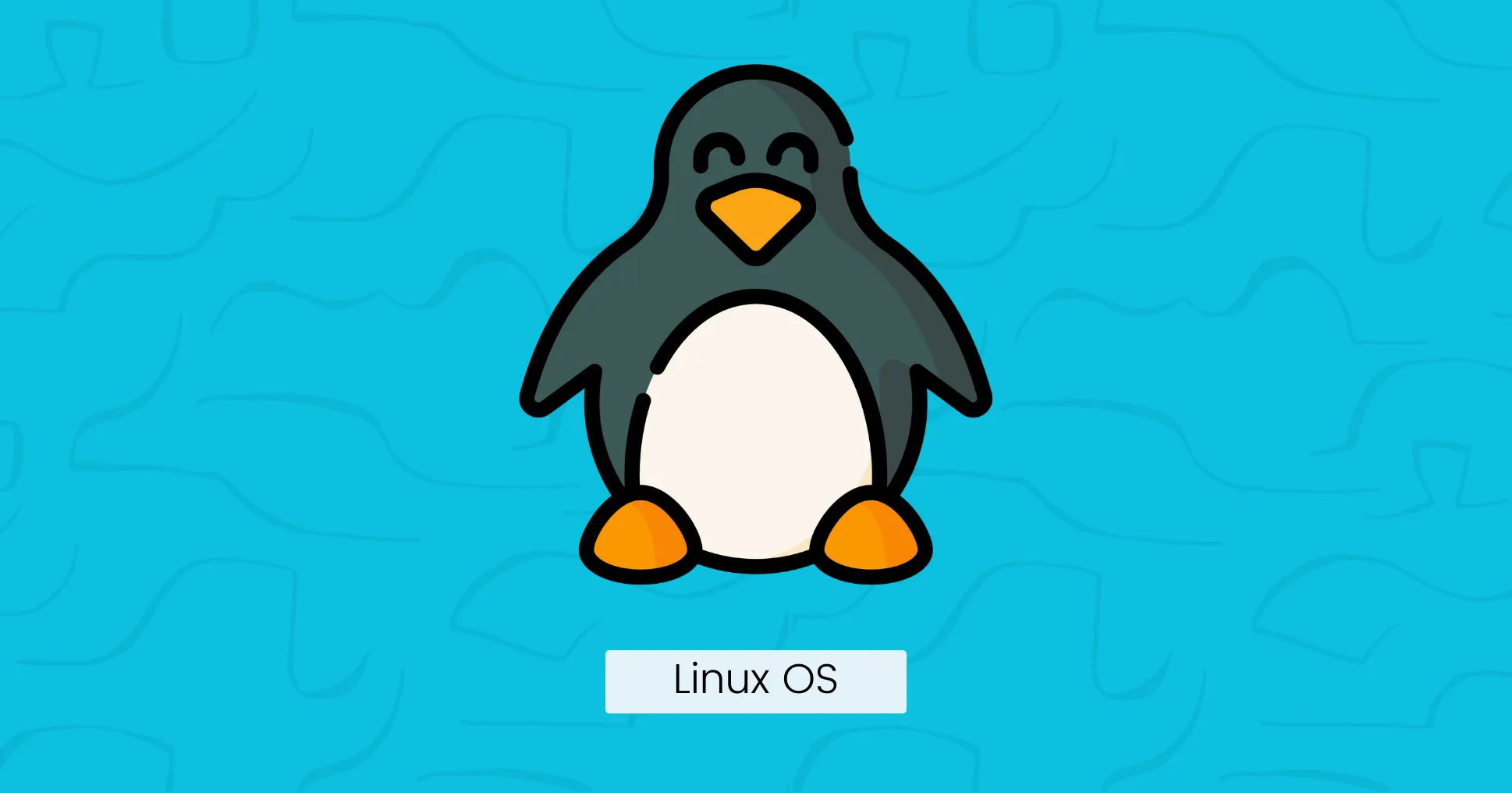 Linux