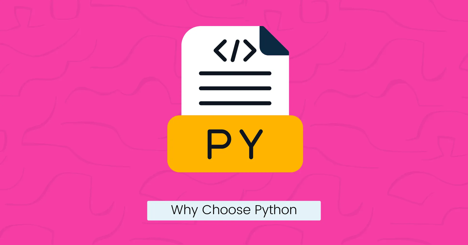 Why Choose Python