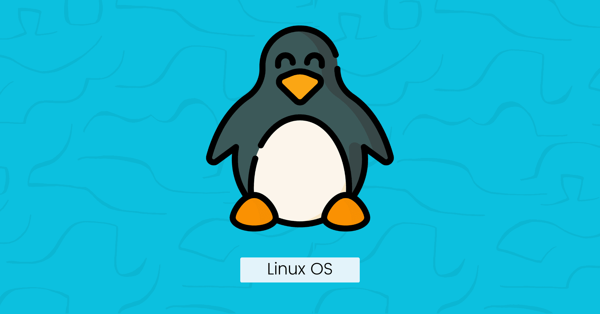 Linux